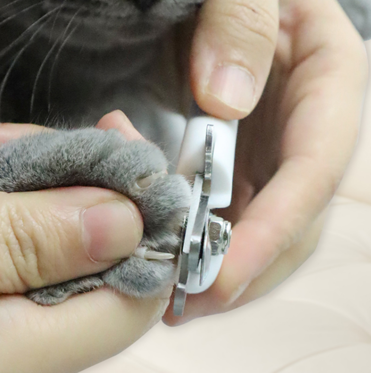 Professional Pet Nail Clippers Dog Cat Stainless Steel Two-color Labor-Saving Nail Clippers Convenient Beauty Cleaning Supplies